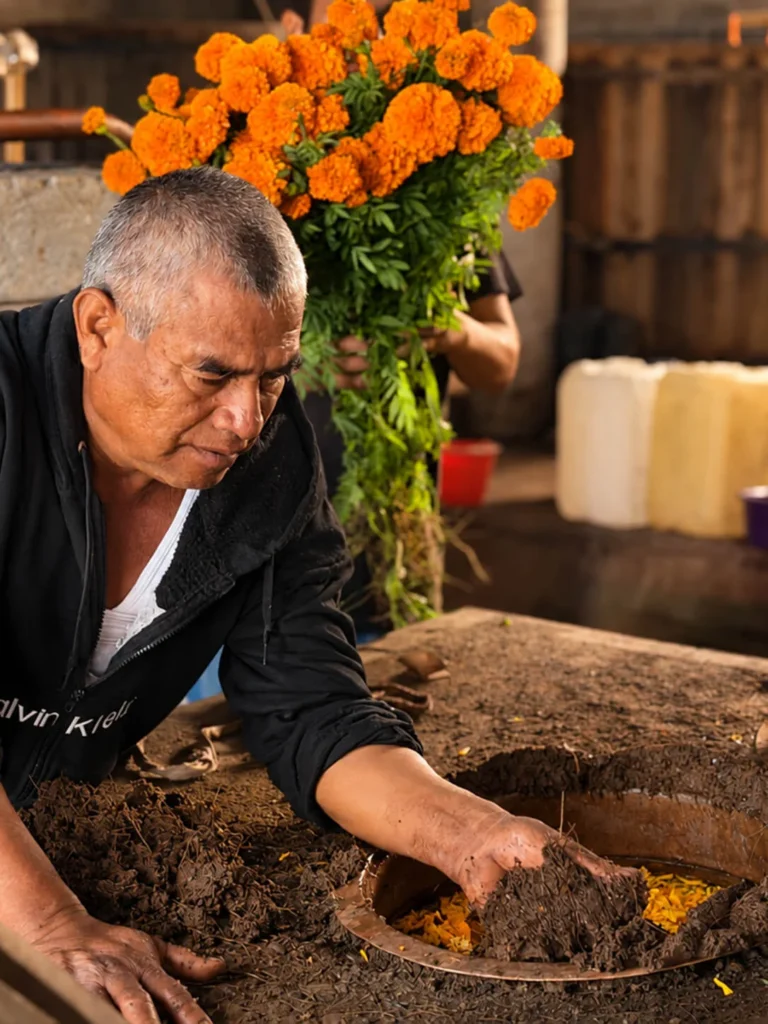 mezcal-75_-muertos-galeria-6