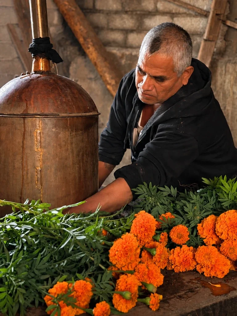 mezcal-75_-muertos-galeria-7