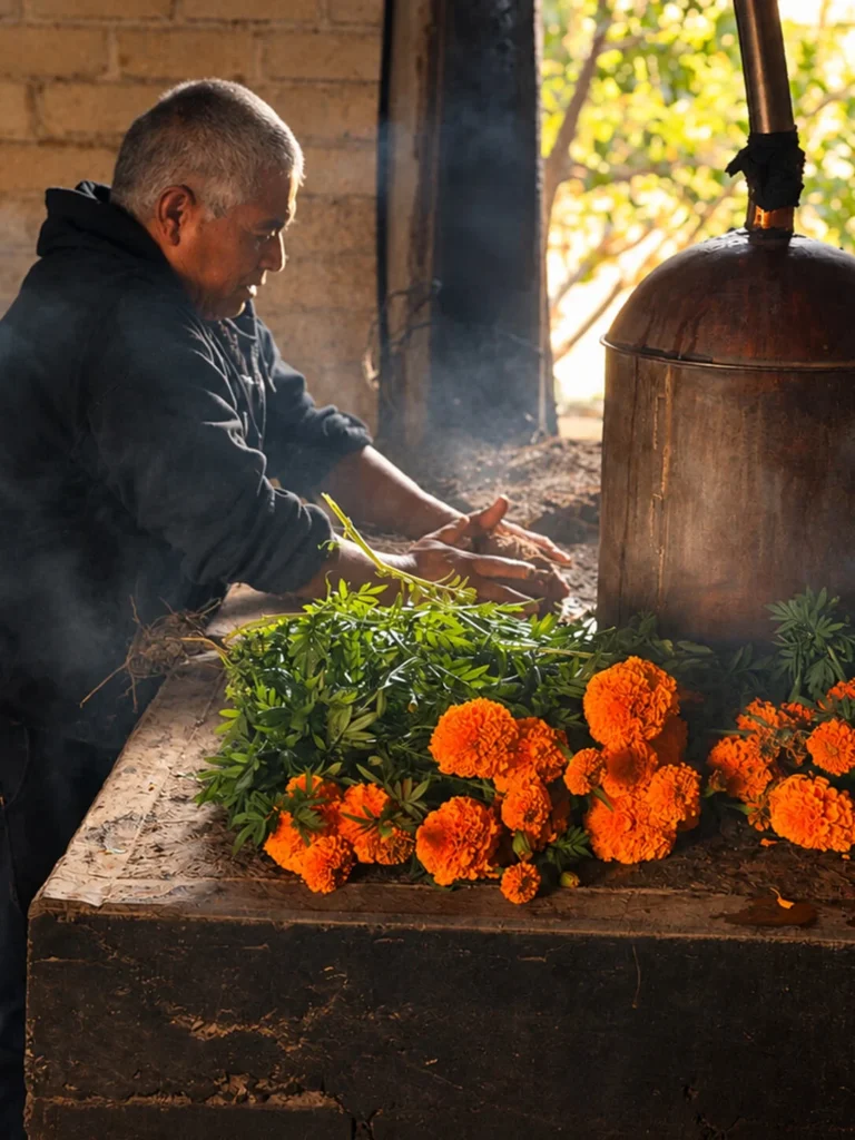 mezcal-75_-muertos-galeria-8